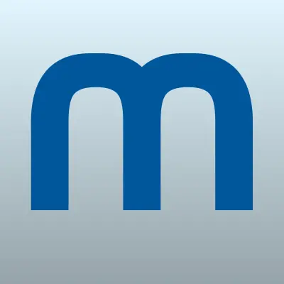 Металл Строй Инвест, многопрофильная компания, лого-визитка
